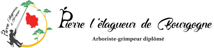 Pierre l'&eacute;lagueur de Bourgogne site officiel